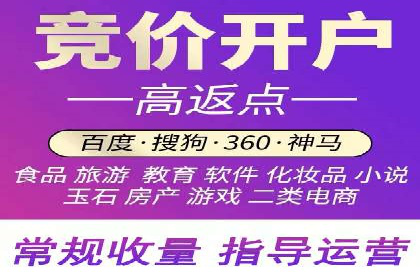 SEM网络推广案例：打造行业影响力品牌
