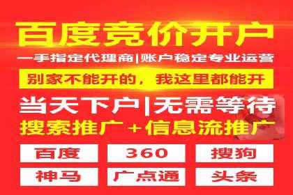 百度SEO推广实战：行业领先企业的成功之道